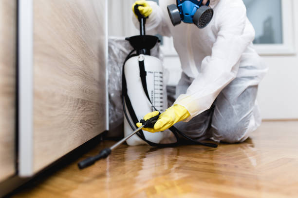 Best Flea Control Services  in Al Creek, CO