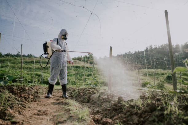 Best Best Pest Control Companies  in Al Creek, CO
