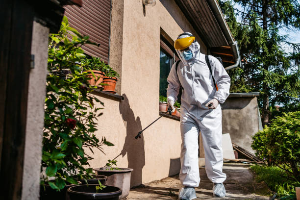 Pest Control Cost in Coal Creek, CO