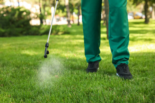 Wildlife Control Services in Coal Creek, CO
