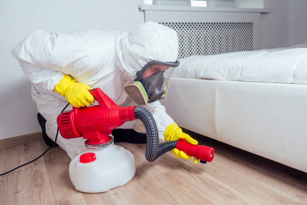 Best Pest Removal Services  in Al Creek, CO