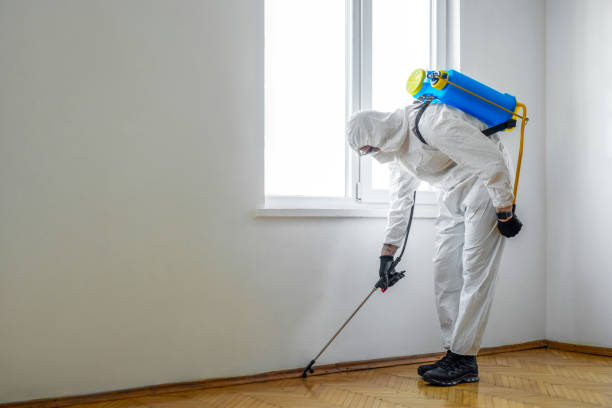 Best Pest Prevention Services  in Al Creek, CO