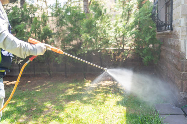 Best Commercial Pest Control Services  in Al Creek, CO